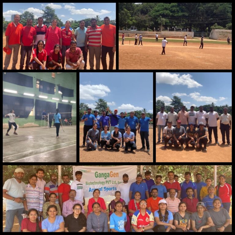 Staphylococcus aureus peptidoglycan diagram